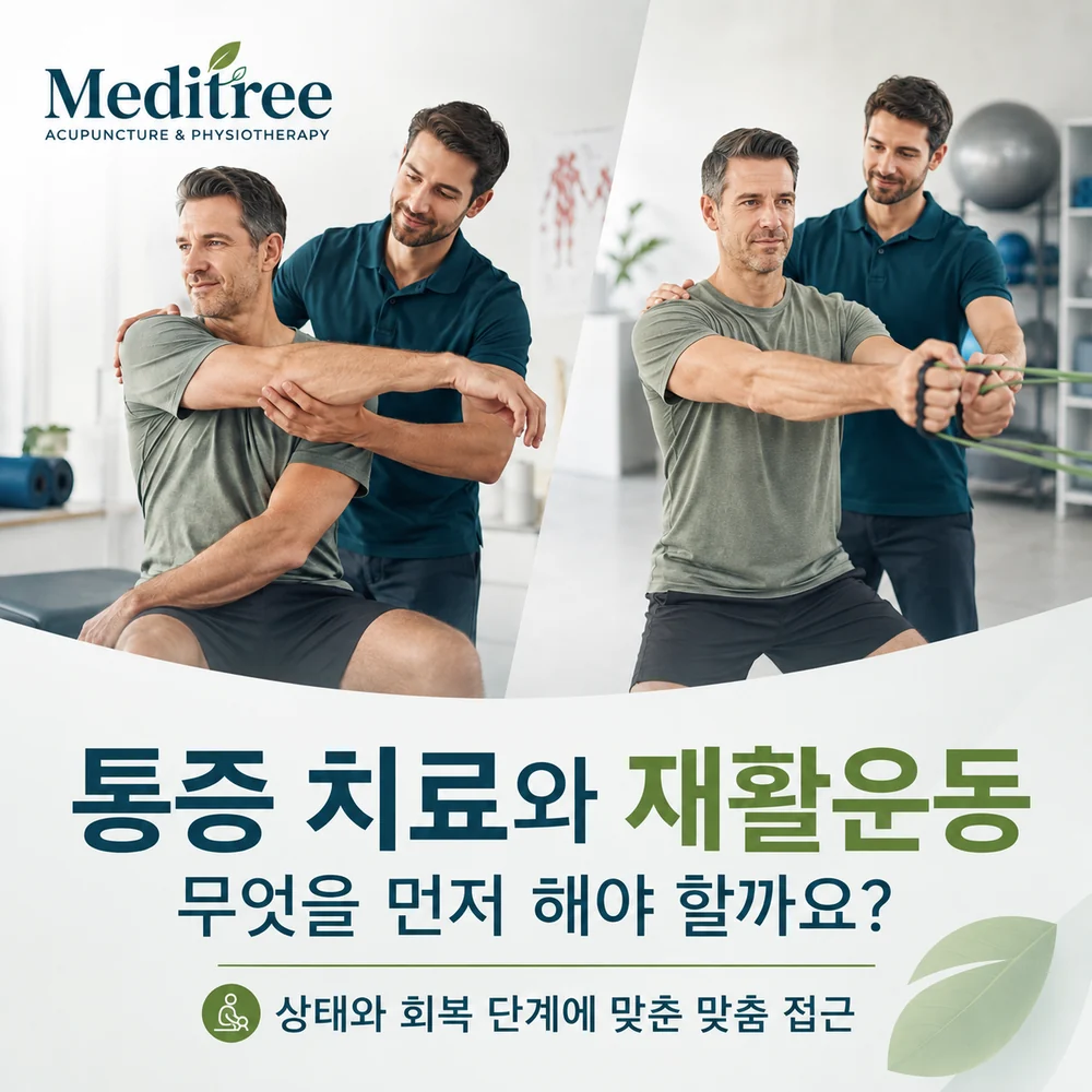 통증 관리 치료와 재활운동의 역할과 시작 시점을 설명하는 Meditree 한국어 안내