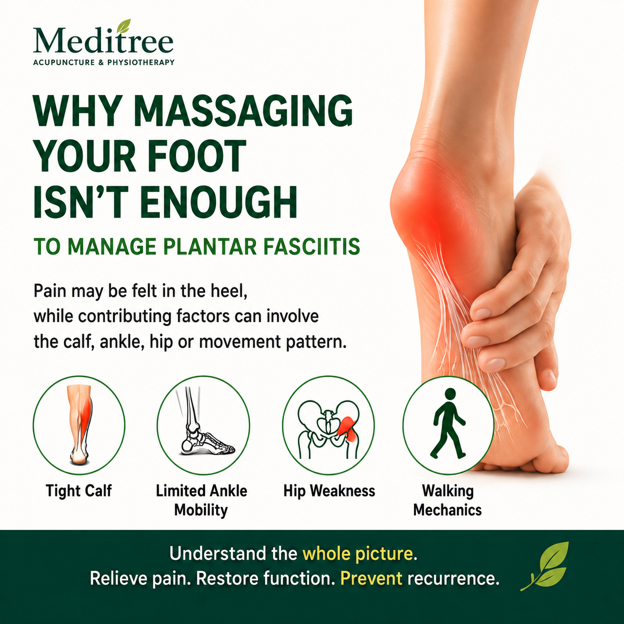 Plantar fasciitis infographic showing heel pain and possible contributing factors including calf tightness, limited ankle mobility, hip strength and walking mechanics