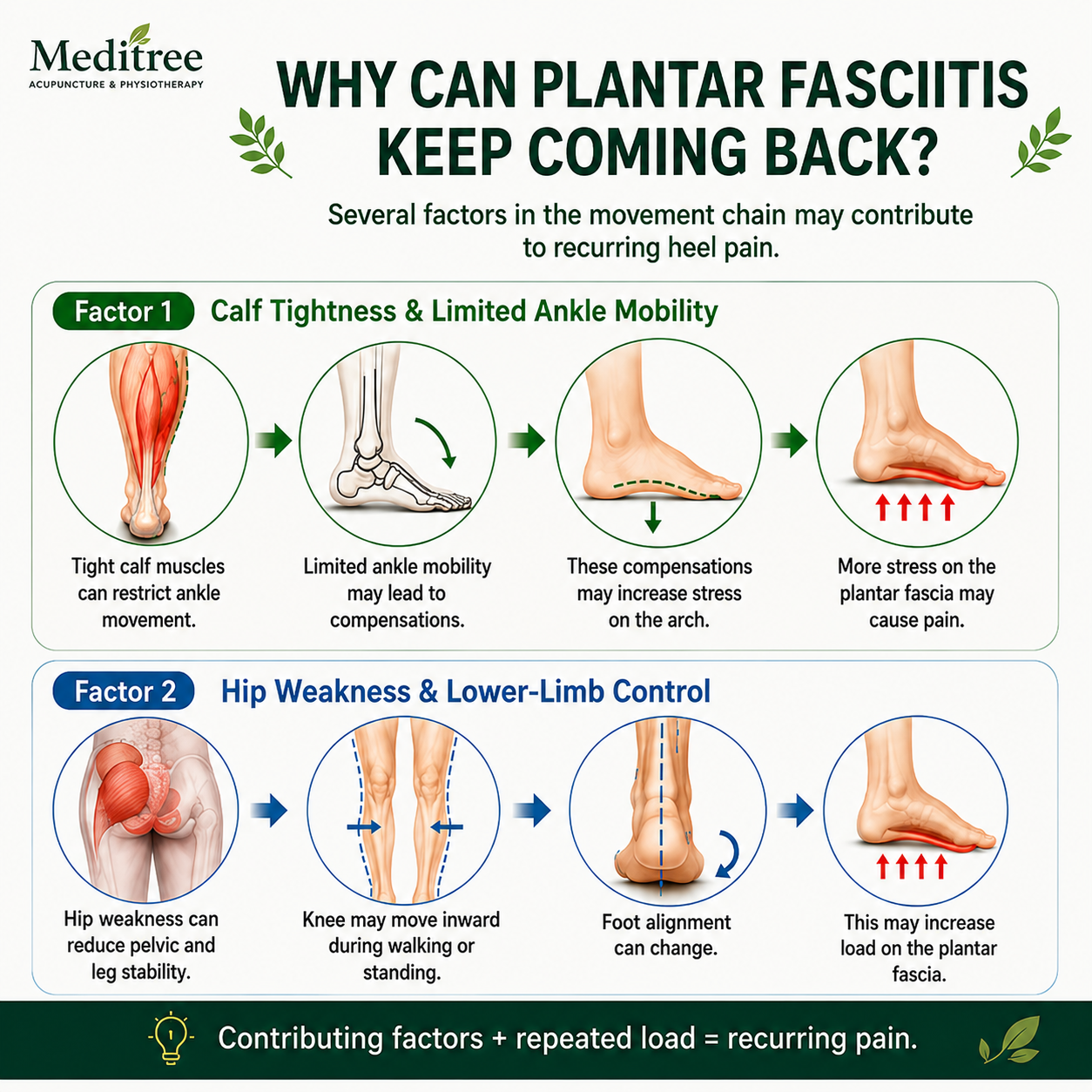 Diagram showing how calf stiffness, ankle mobility, hip strength and lower-limb control may influence recurring plantar heel pain
