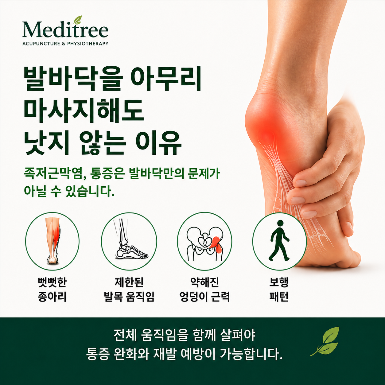족저근막염 발뒤꿈치 통증과 종아리 발목 엉덩이 및 보행 요인을 설명하는 Meditree 안내 이미지